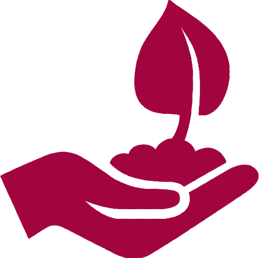 Σπόροι Φυτών Μεγάλης Καλλιέργειας