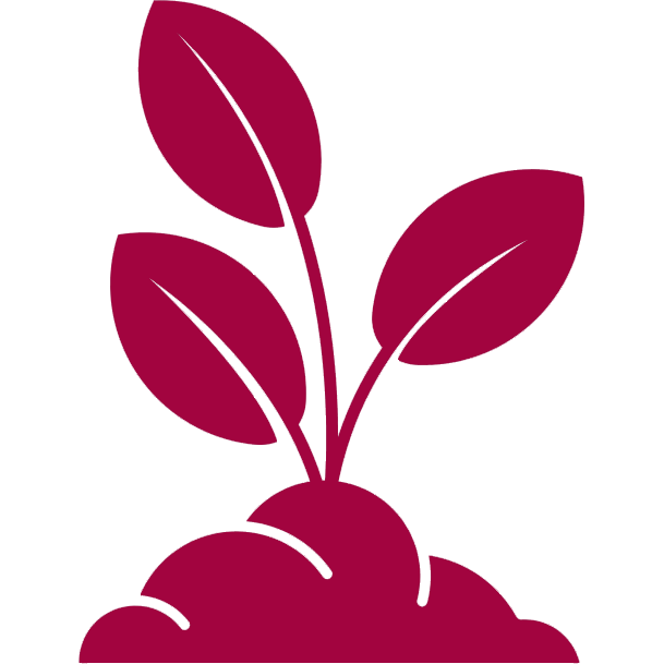 Σπορόφυτα Κηπευτικών Ειδών