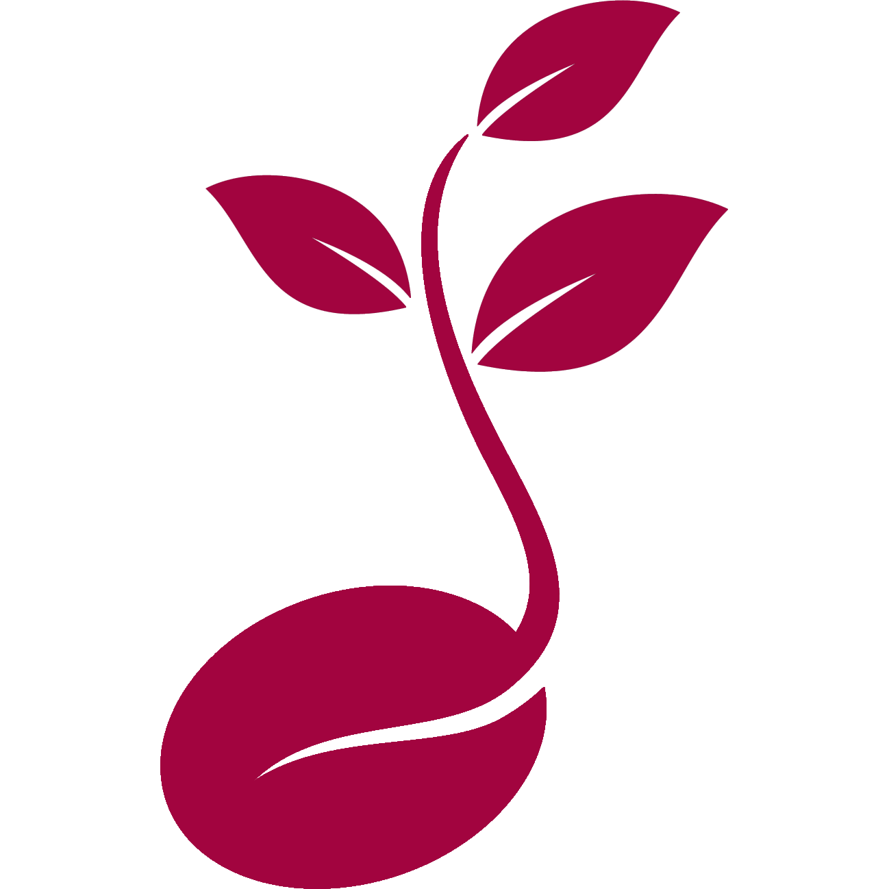 Σπόροι Σποράς Κηπευτικών Ειδών